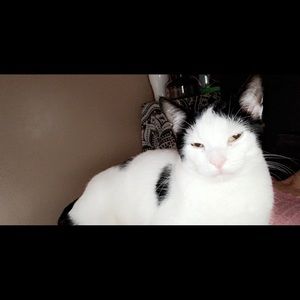 Meet your Posher, Myranda